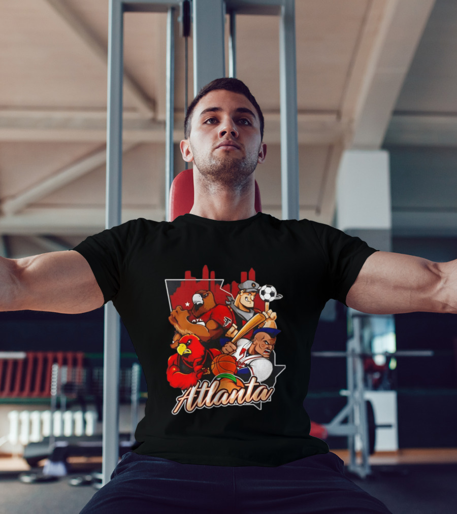 Atlanta Falcons Hawks Braves United Georgia Sports Teams Characters T-Shirt