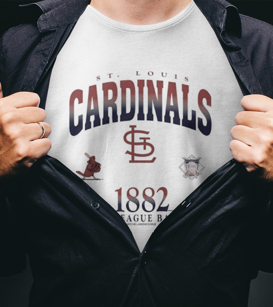 St Louis Cardinals Est 1882 Major League Baseball Vintage Team T-Shirt