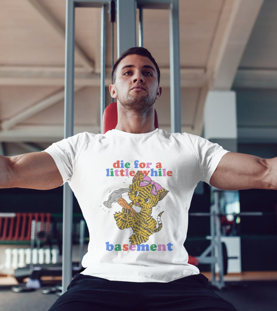 Die For A Little While Basement Cat Hammer Meme T-Shirt