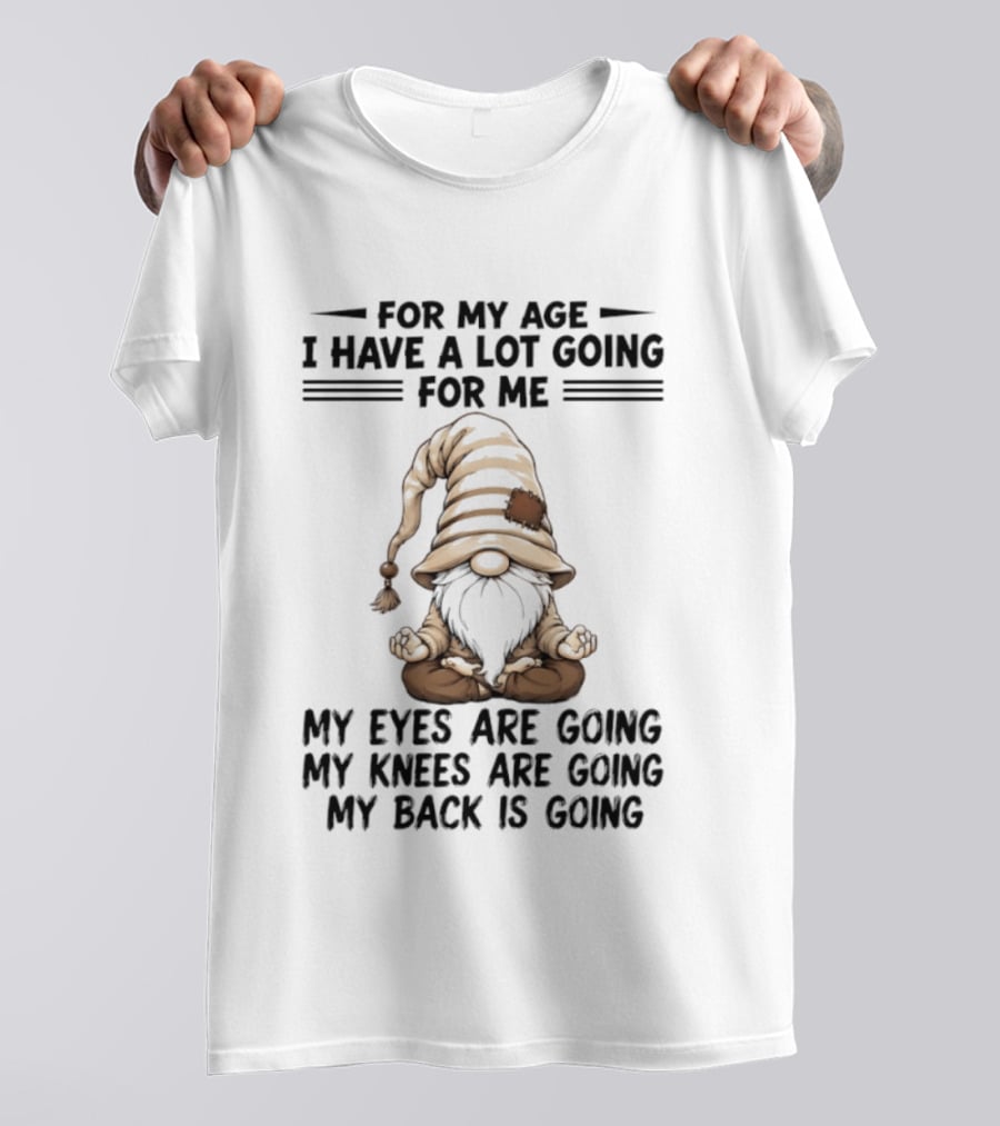 For My Age I Have A Lot Going For Me My Eyes Are Going My Knees Are Going My Back Is Going Gnome T-Shirt
