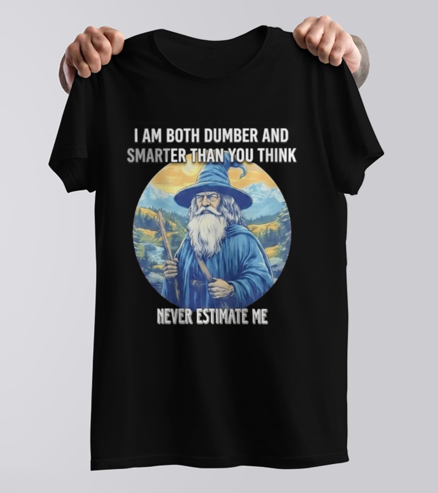 I Am Both Dumber And Smarter Than You Think Never Estimate Me Wizard Blue Robe And Hat Mountain T-Shirt