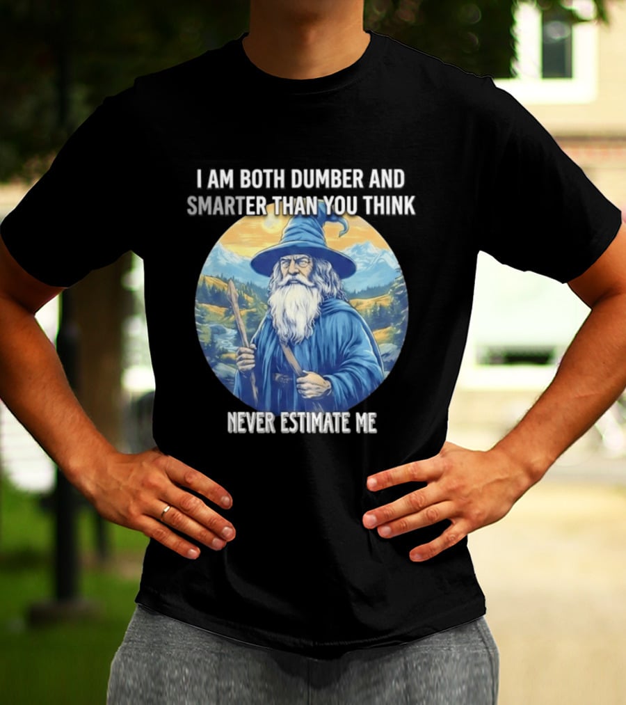 I Am Both Dumber And Smarter Than You Think Never Estimate Me Wizard Blue Robe And Hat Mountain T-Shirt