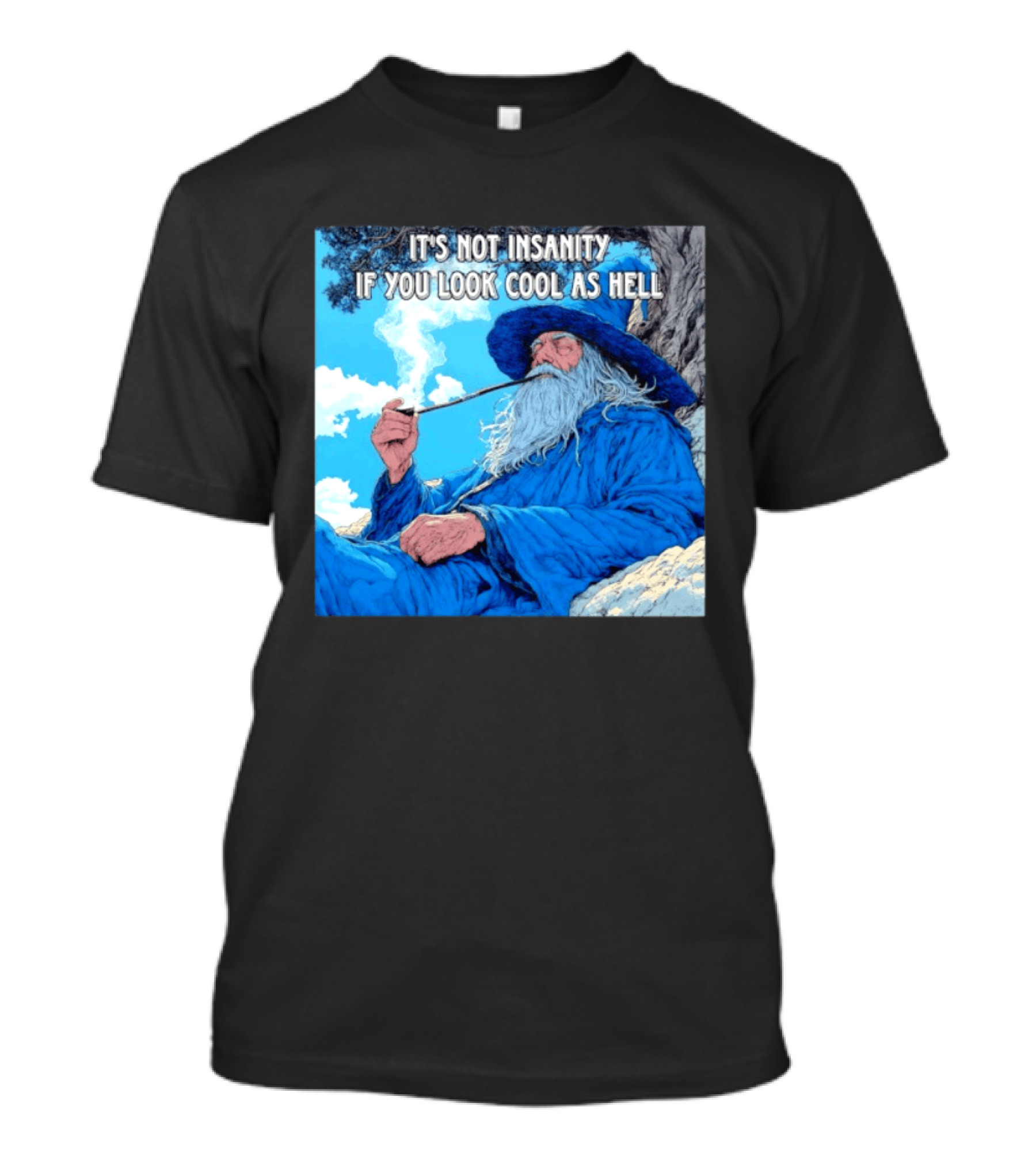 It's Not Insanity If You Look Cool As Hell Wizard Smoking Pipe T-Shirt