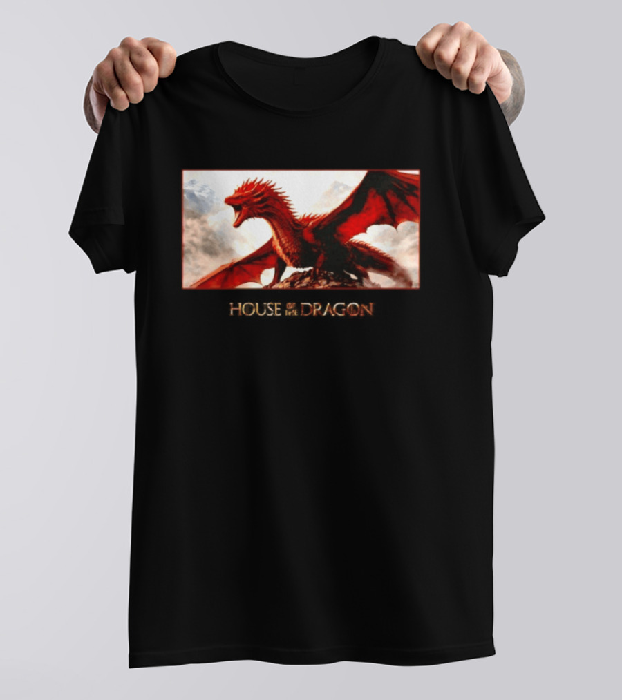 House Of The Dragon Caraxes War Memorial Mountains Scene T-Shirt