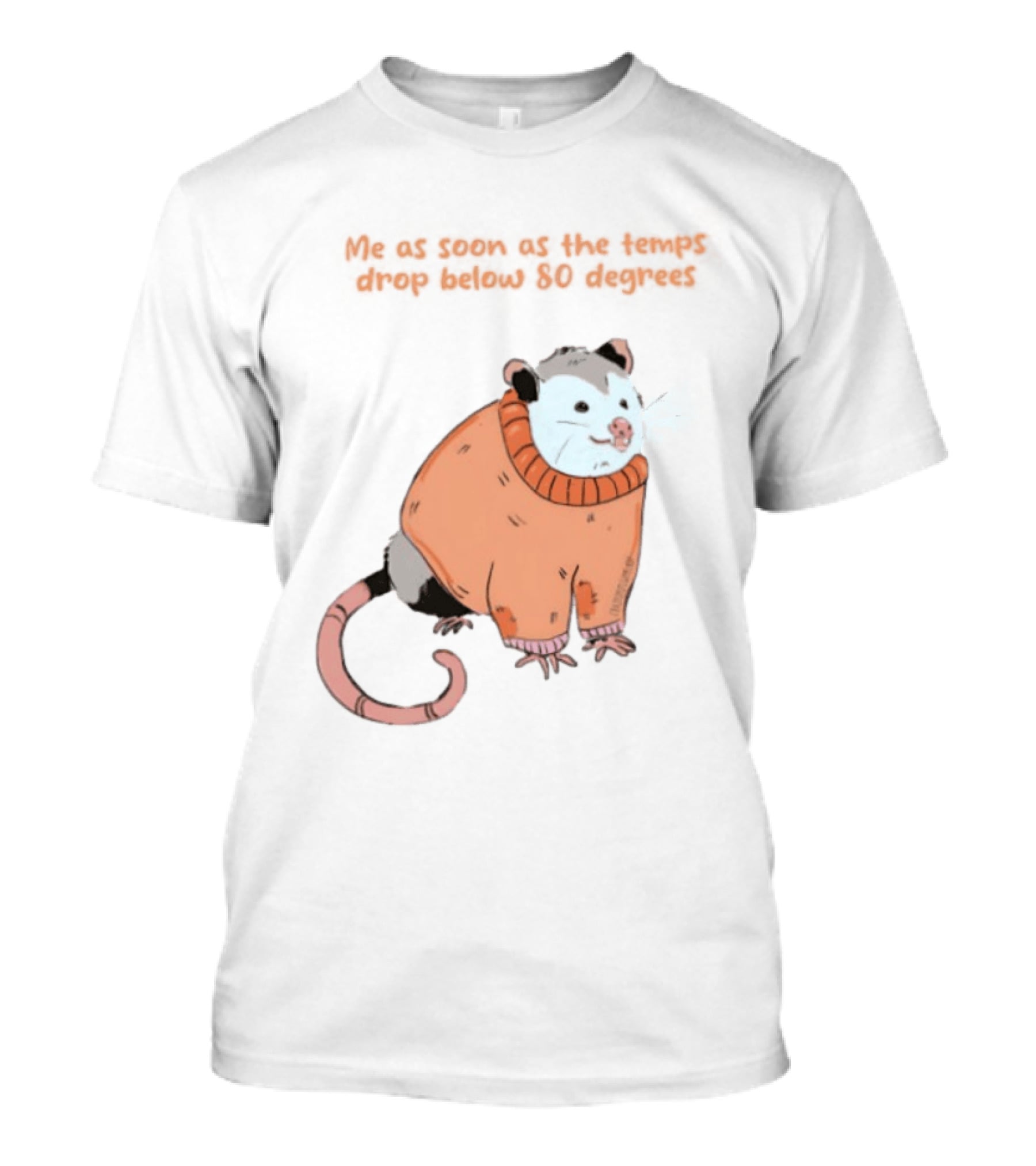 Opossum Cozy Sweater Temps Below 80 Degrees T-Shirt