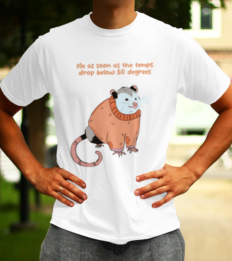 Opossum Cozy Sweater Temps Below 80 Degrees T-Shirt