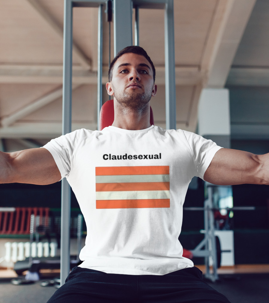 Claudesexual Pride Flag LGBTQ Identity Orange And Gray Stripes T-Shirt