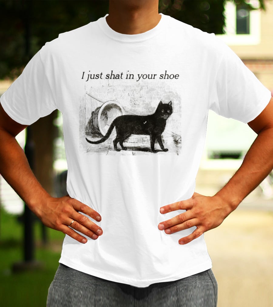 Cat I Just Shat In Your Shoe Silhouette And Litter Box T-Shirt