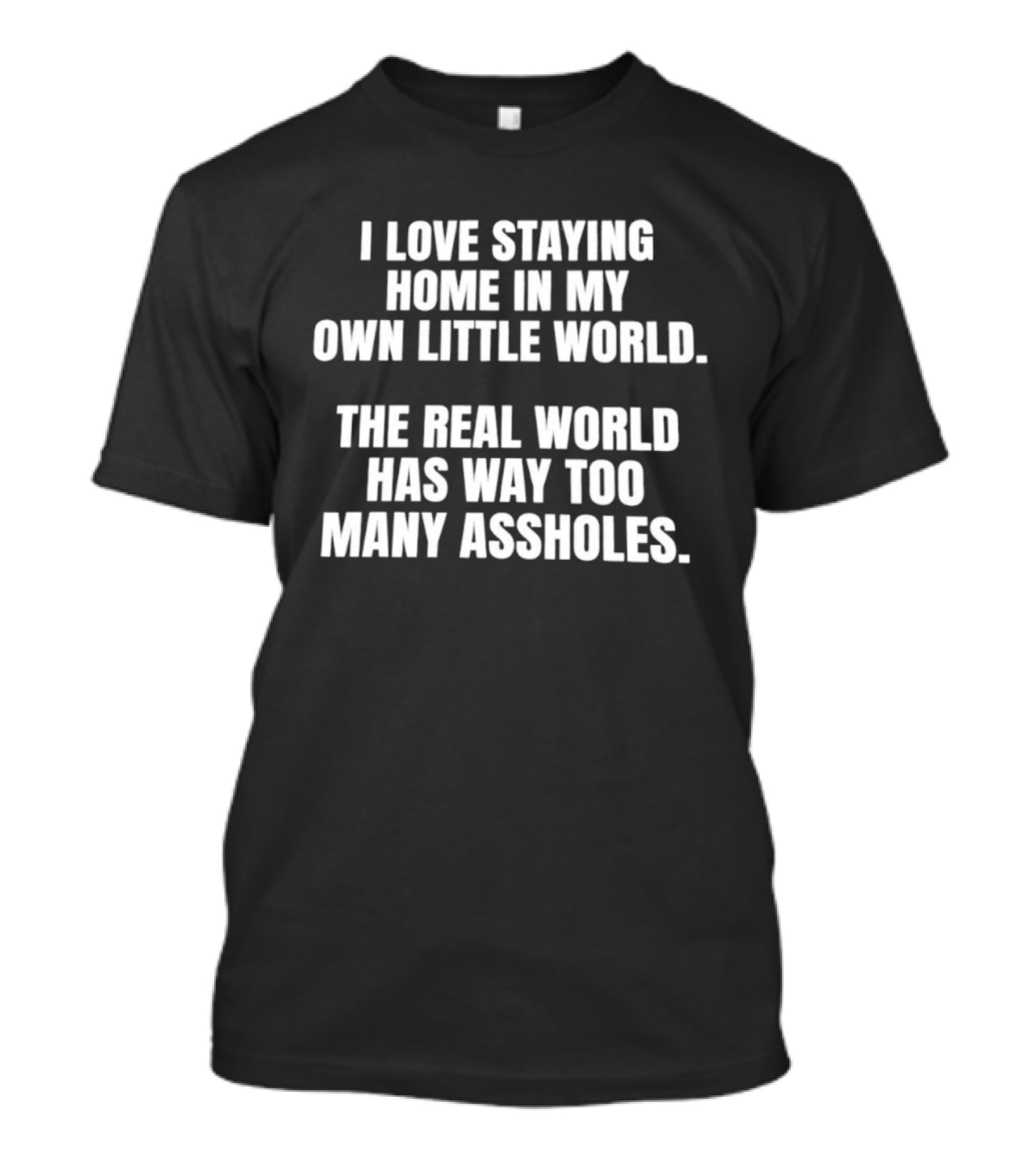 I Love Staying Home In My Own Little World The Real World Has Way Too Many Assholes T-Shirt