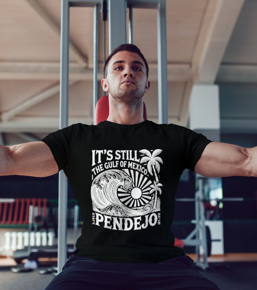 It's Still The Gulf Of Mexico Pendejo Wave Palm Sun T-Shirt