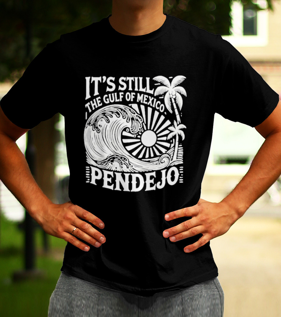It's Still The Gulf Of Mexico Pendejo Wave Palm Sun T-Shirt