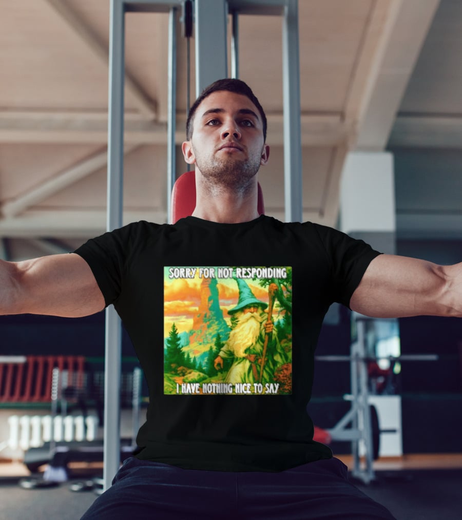 Sorry For Not Responding I Have Nothing Nice To Say Wizard Scene T-Shirt