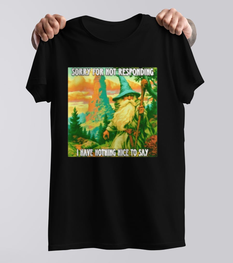 Sorry For Not Responding I Have Nothing Nice To Say Wizard Scene T-Shirt