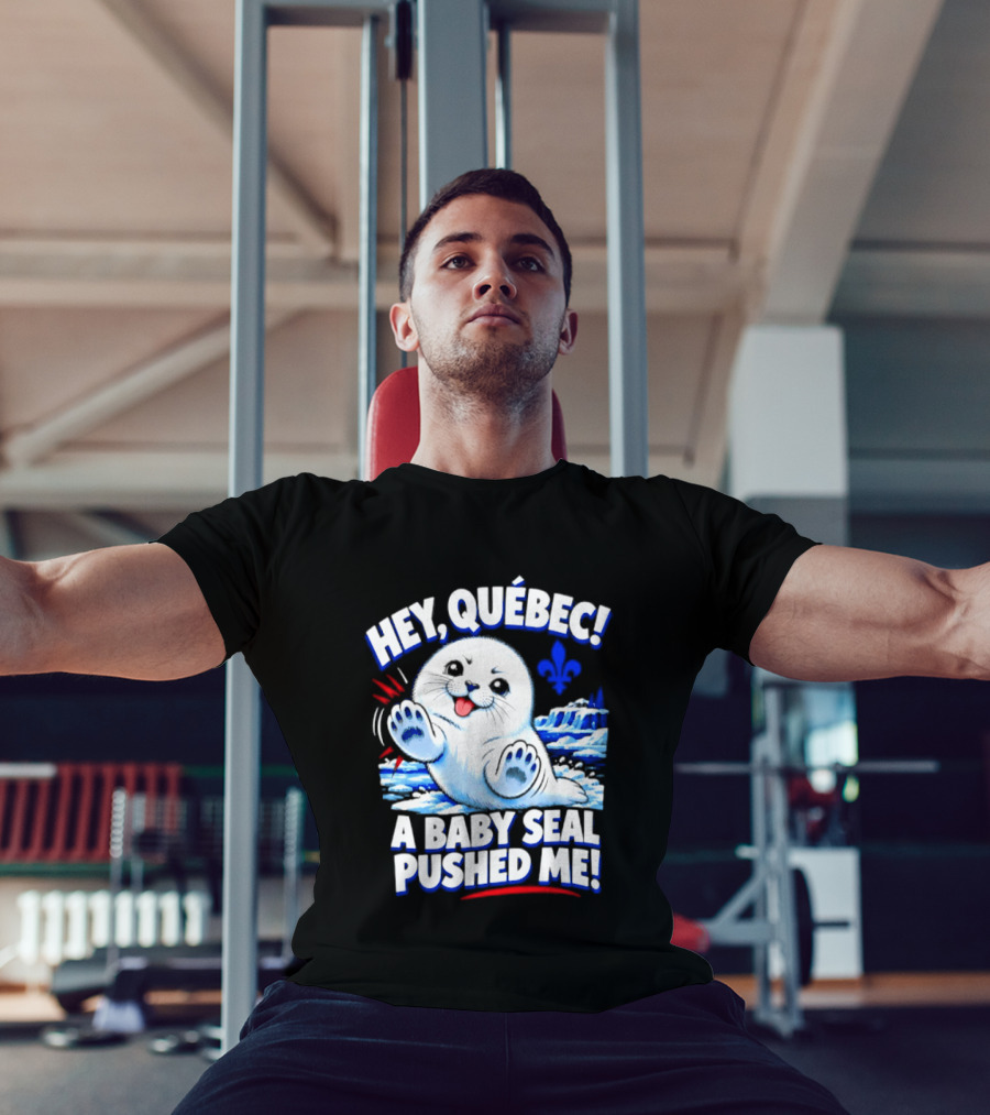 Hey Quebec A Baby Seal Pushed Me Cute Harp Seal Iceberg Splash T-Shirt
