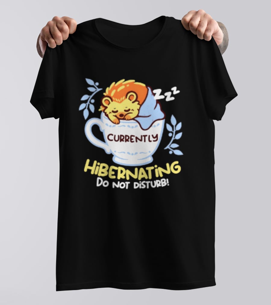 Currently Hibernating Do Not Disturb Hedgehog In Teacup Python T-Shirt