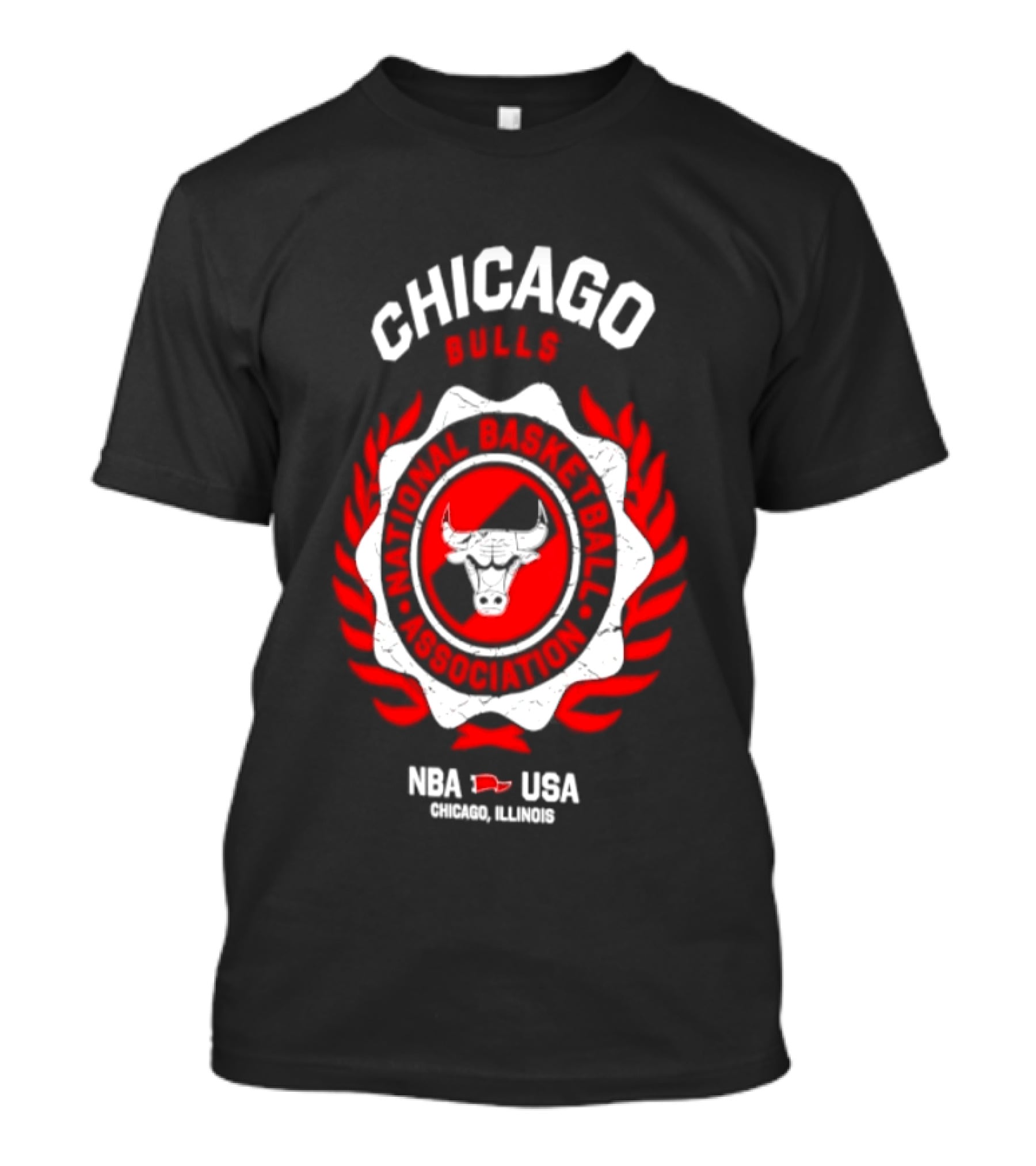 Chicago Bulls NBA USA Central Division Champions Chicago Illinois T-Shirt