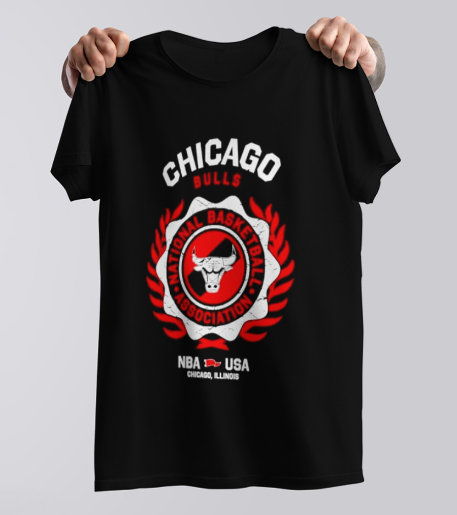Chicago Bulls NBA USA Central Division Champions Chicago Illinois T-Shirt