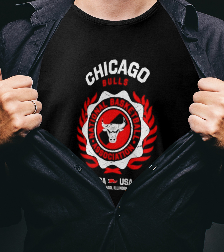 Chicago Bulls NBA USA Central Division Champions Chicago Illinois T-Shirt
