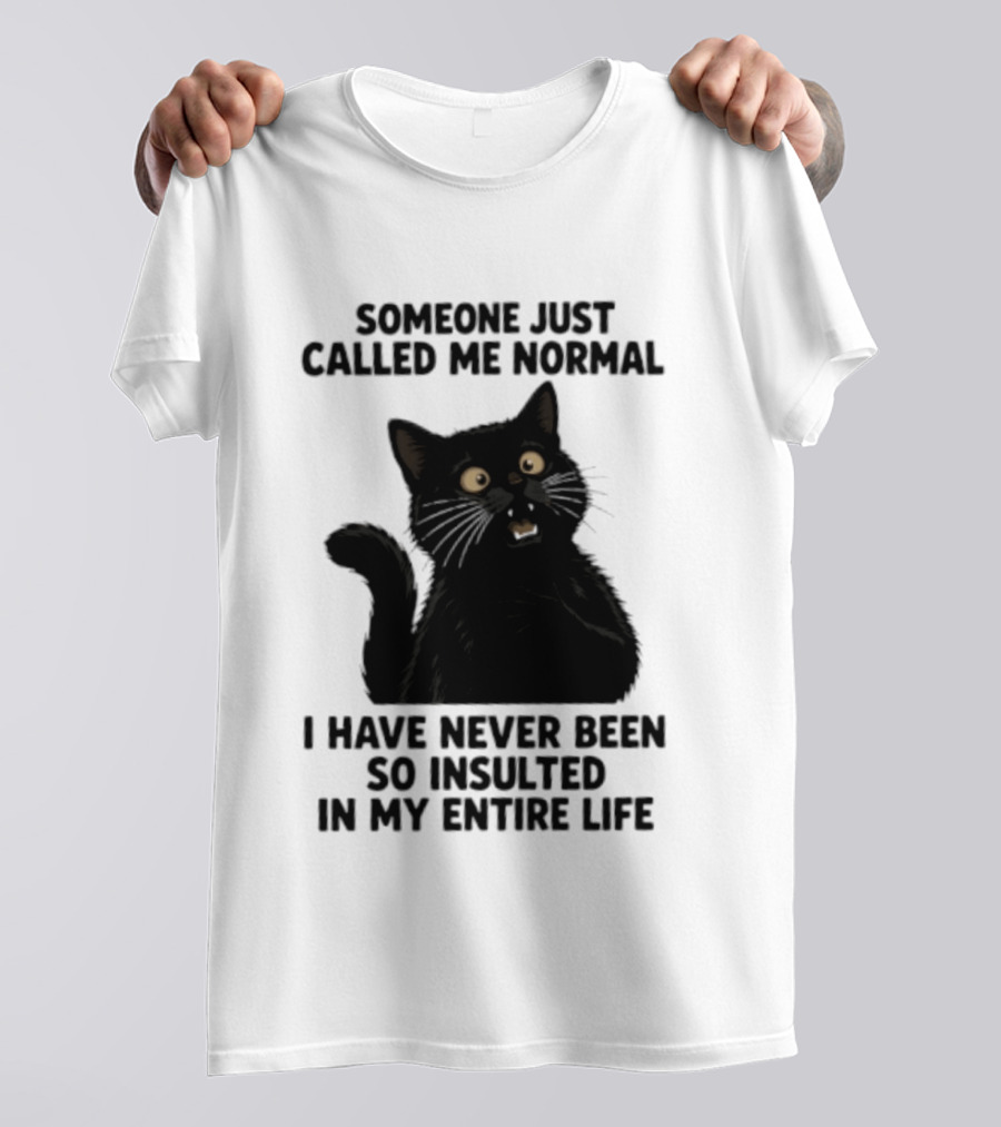 Someone Just Called Me Normal Black Cat Humor Never Been So Insulted In My Entire Life T-Shirt