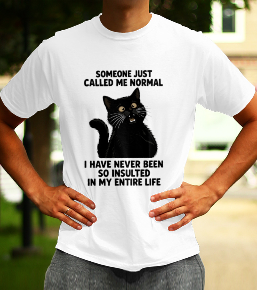 Someone Just Called Me Normal Black Cat Humor Never Been So Insulted In My Entire Life T-Shirt
