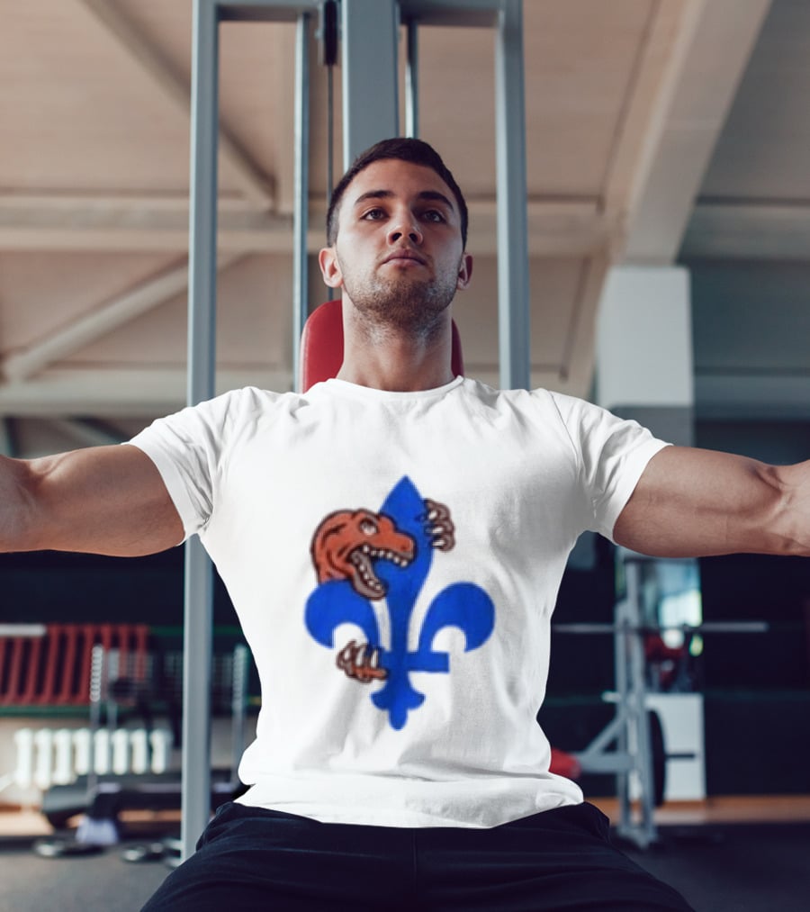 2026 Raptors Quebec Canada Games Fleur De Lis And Dinosaur T-Shirt