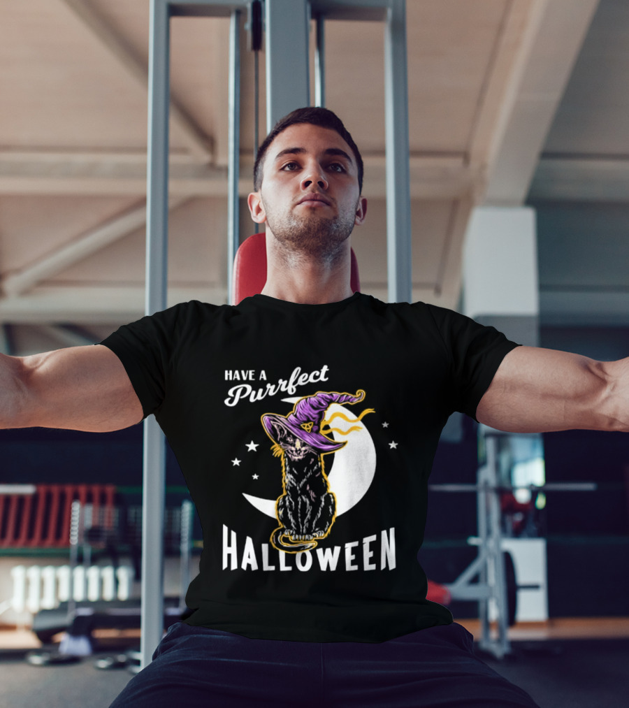 Have A Purrfect Halloween Black Cat And Moon With Witch Hat T-Shirt
