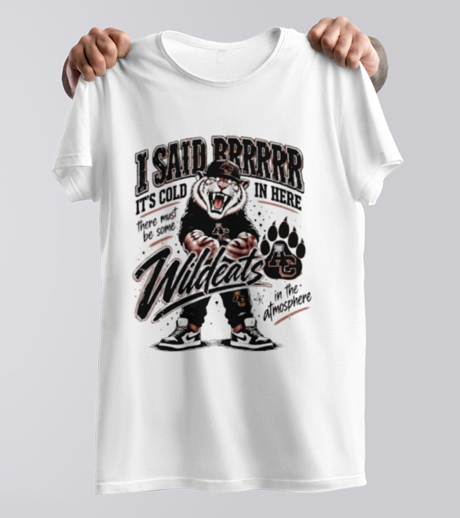 I Said Brrrrr It's Cold In Here Wildcats In The Atmosphere T-Shirt
