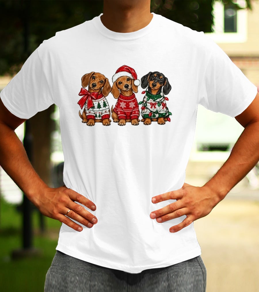 Cozy Christmas Dachshund Trio In Festive Sweaters With Santa Hat T-Shirt