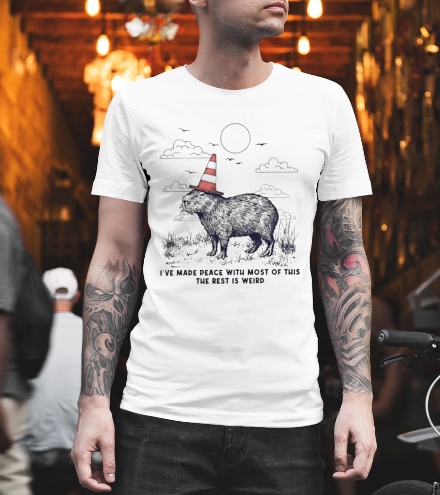 Capybara With Cone Hat Peaceful Yet Weird Scene I've Made Peace With Most Of This T-Shirt
