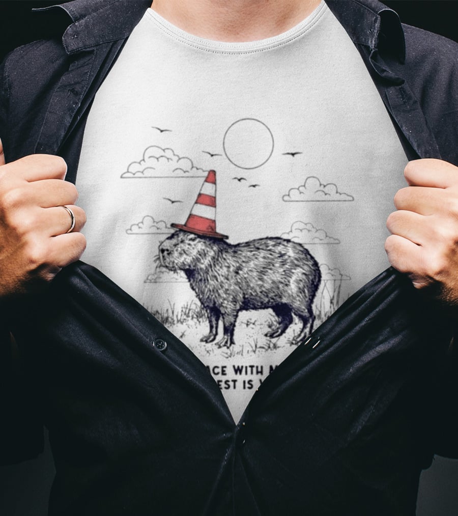 Capybara With Cone Hat Peaceful Yet Weird Scene I've Made Peace With Most Of This T-Shirt