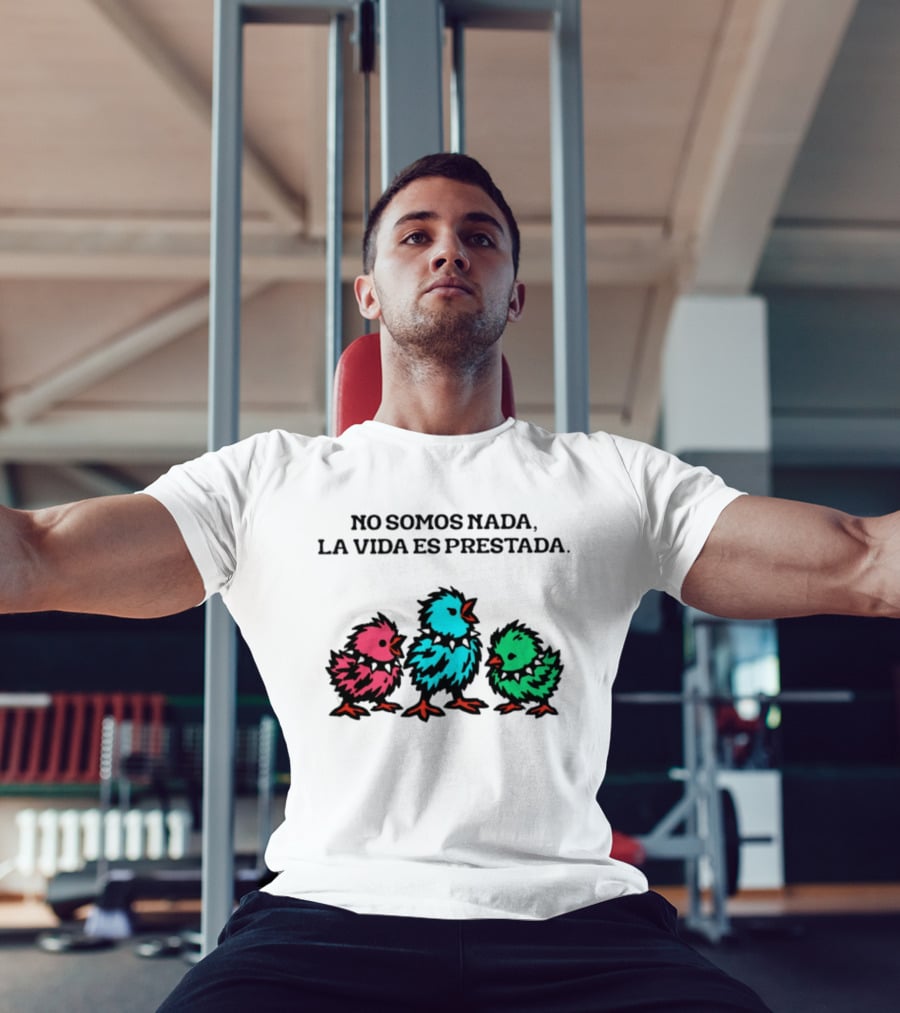 No Somos Nada La Vida Es Prestada Colorful Punk Chicks T-Shirt