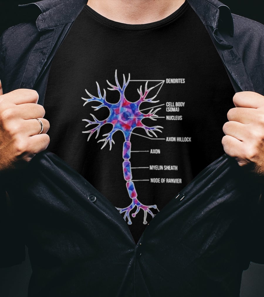 Dendrites Cell Body Soma Nucleus Axon Hillock Axon Myelin Sheath Node Of Ranvier Axon Terminal Synaptic Bouton T-Shirt