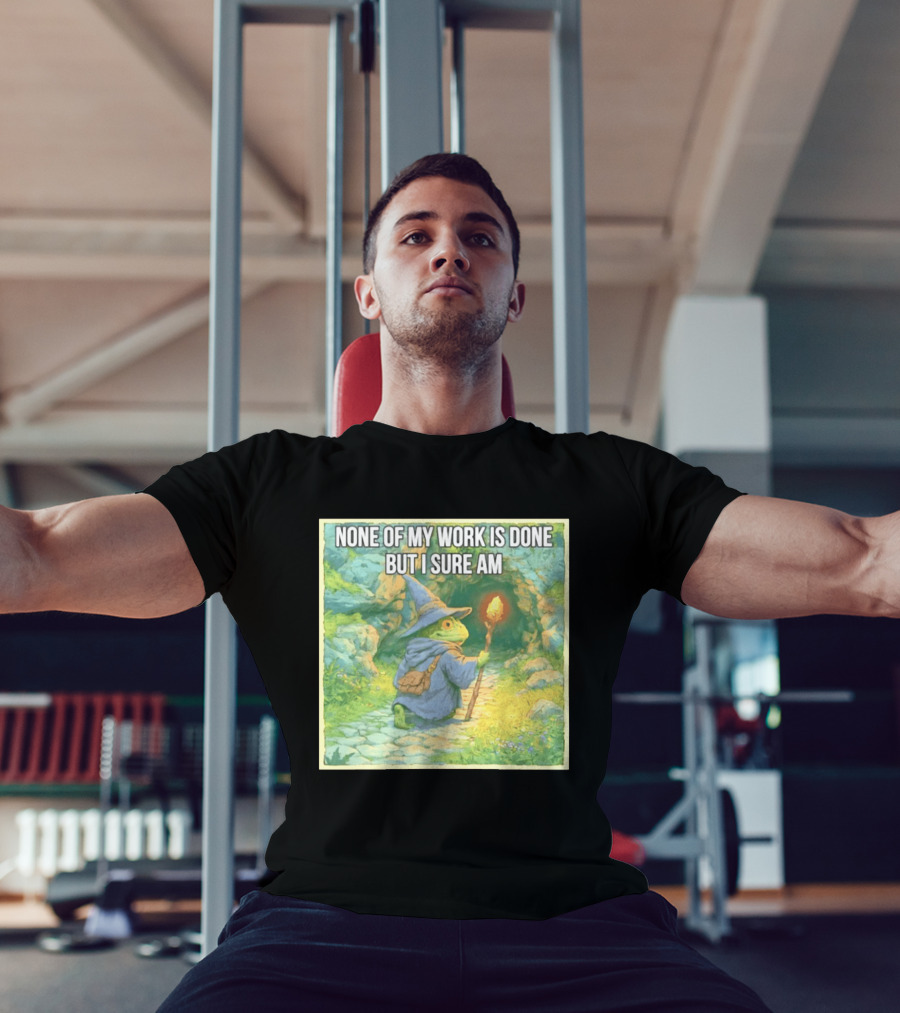 None Of My Work Is Done But I Sure Am Wizard Frog With Wand And Robe T-Shirt