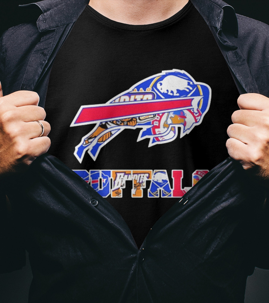 Buffalo Sabres Bandits Bisons Sports Team Logo Collage T-Shirt