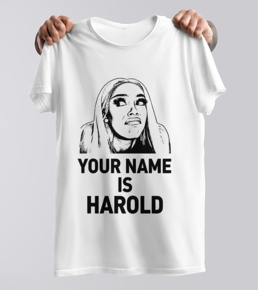 Your Name Is Harold Meme Humor T-Shirt