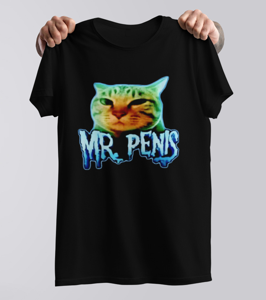 Mr Penis Cat Bold Neon Feline Face T-Shirt