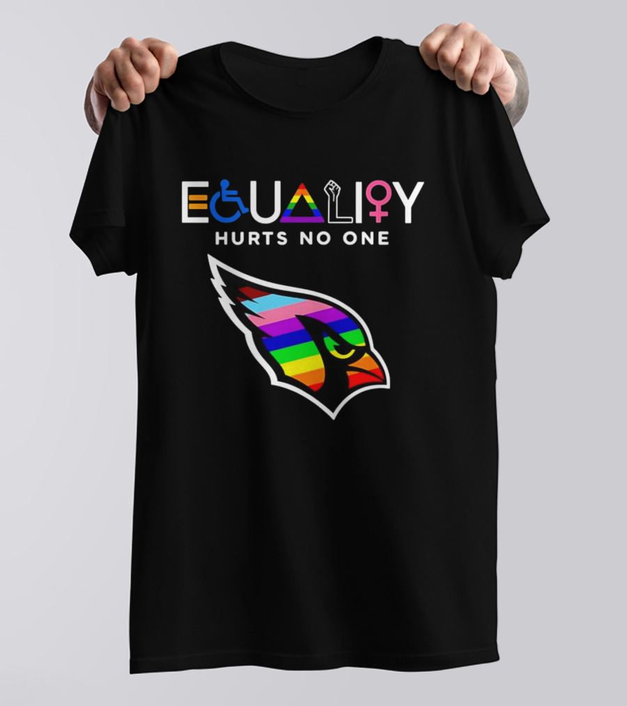 Arizona Cardinals Pride Equality Hurts No One Inclusive Message T-Shirt