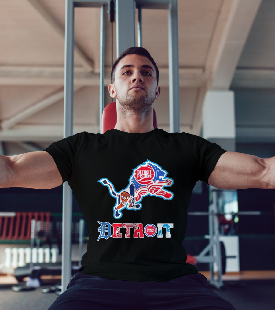 Detroit Lions Tigers Red Wings Pistons Sports Teams Dedication T-Shirt