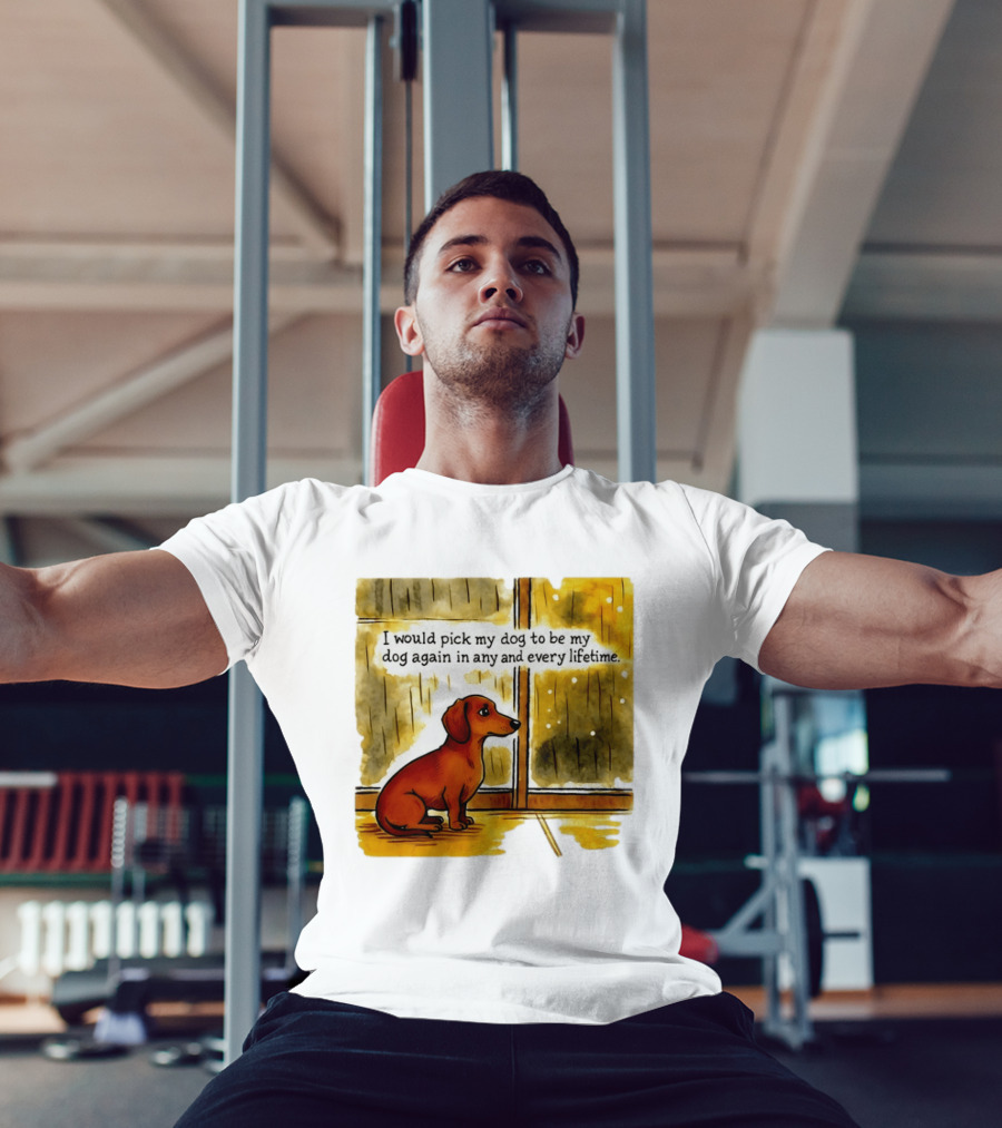 I Would Pick My Dog To Be My Dog Again In Any And Every Lifetime Dachshund By Window T-Shirt