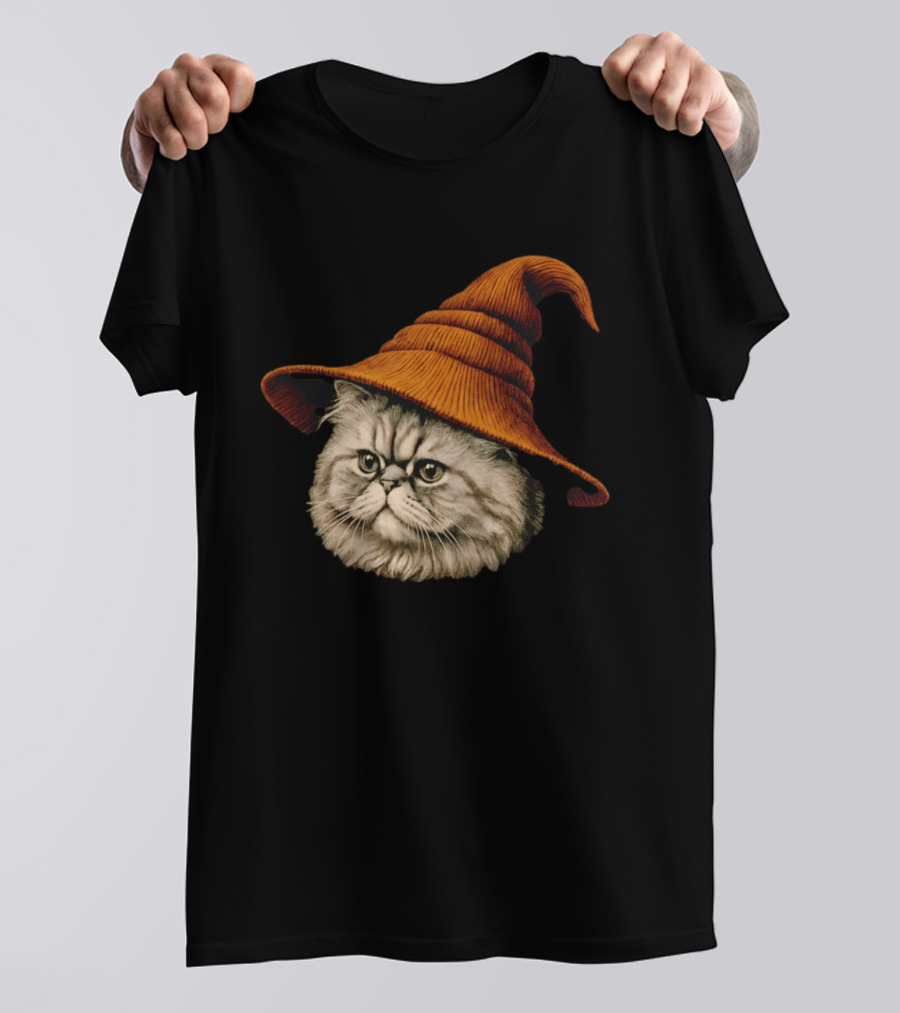 Beanie Cat Wizard Cartoon Plush Orange Hat Feline T-Shirt