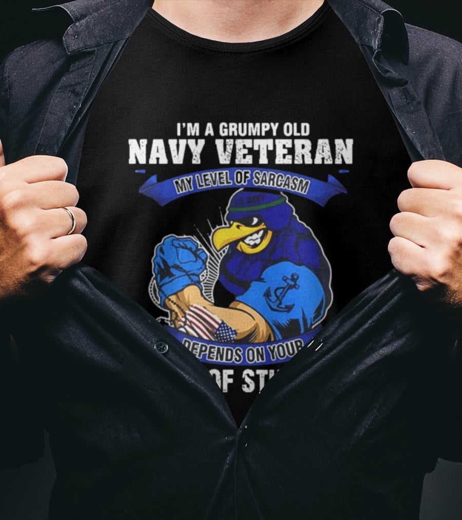Grumpy Old Navy Veteran Sarcasm Stupidity Level Patriotic Eagle T-Shirt