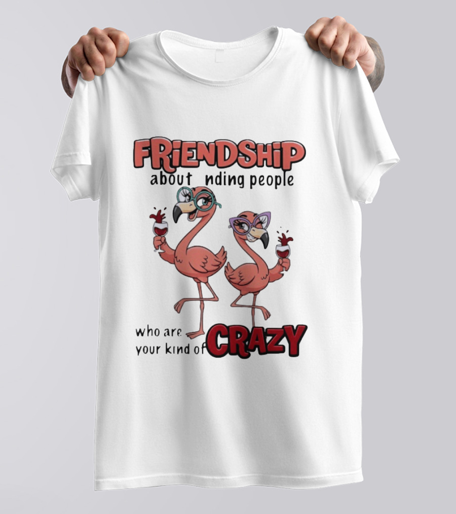 FRIENDSHIP About Finding People Who Are Your Kind Of CRAZY Flamingo Humor T-Shirt