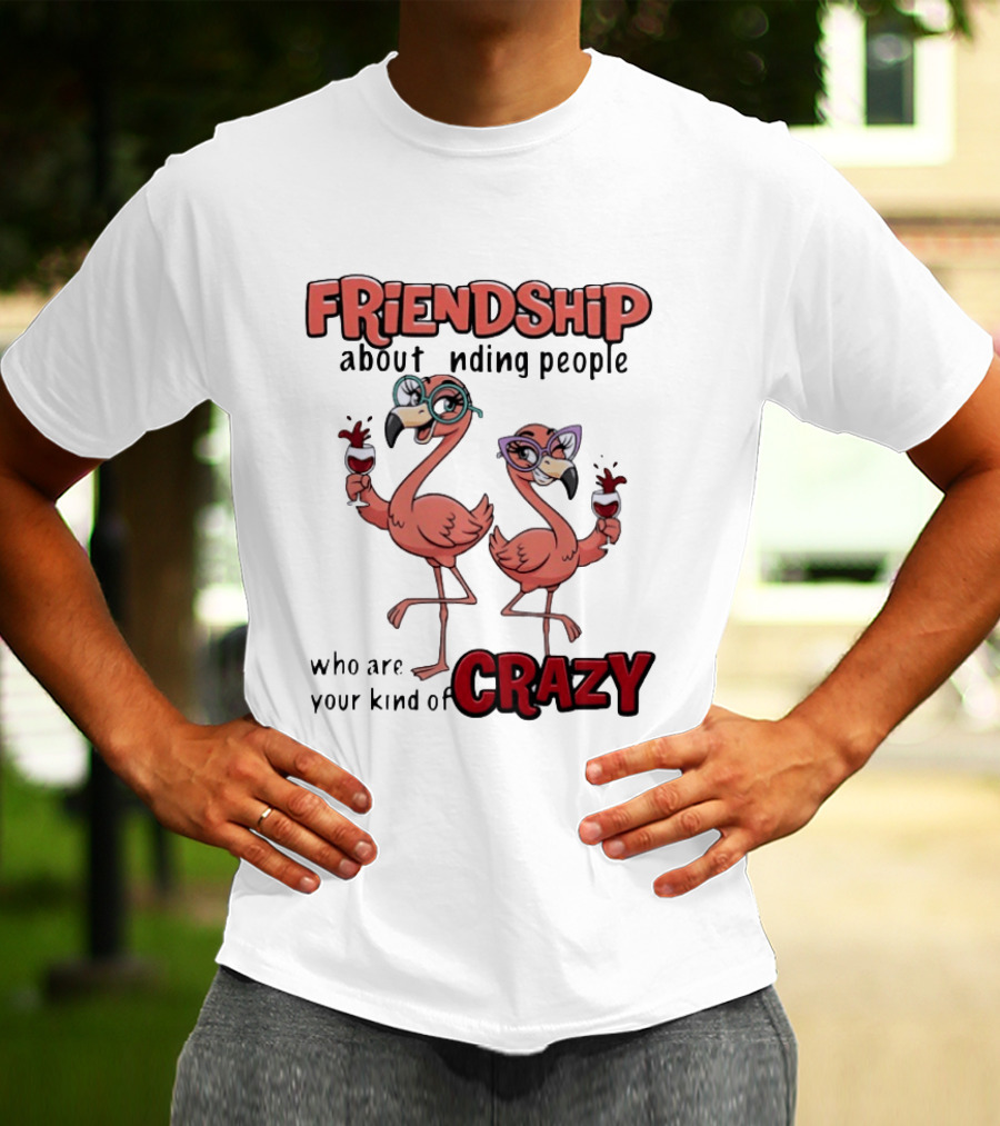 FRIENDSHIP About Finding People Who Are Your Kind Of CRAZY Flamingo Humor T-Shirt