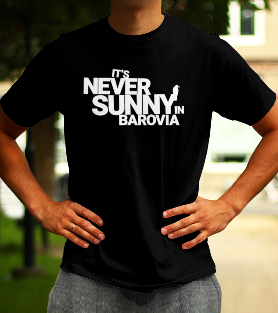 It's Never Sunny In Barovia Raven T-Shirt