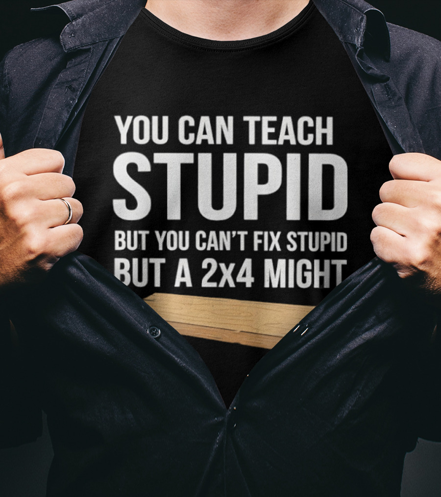 You Can Teach Stupid But You Can't Fix Stupid But A 2x4 Might T-Shirt