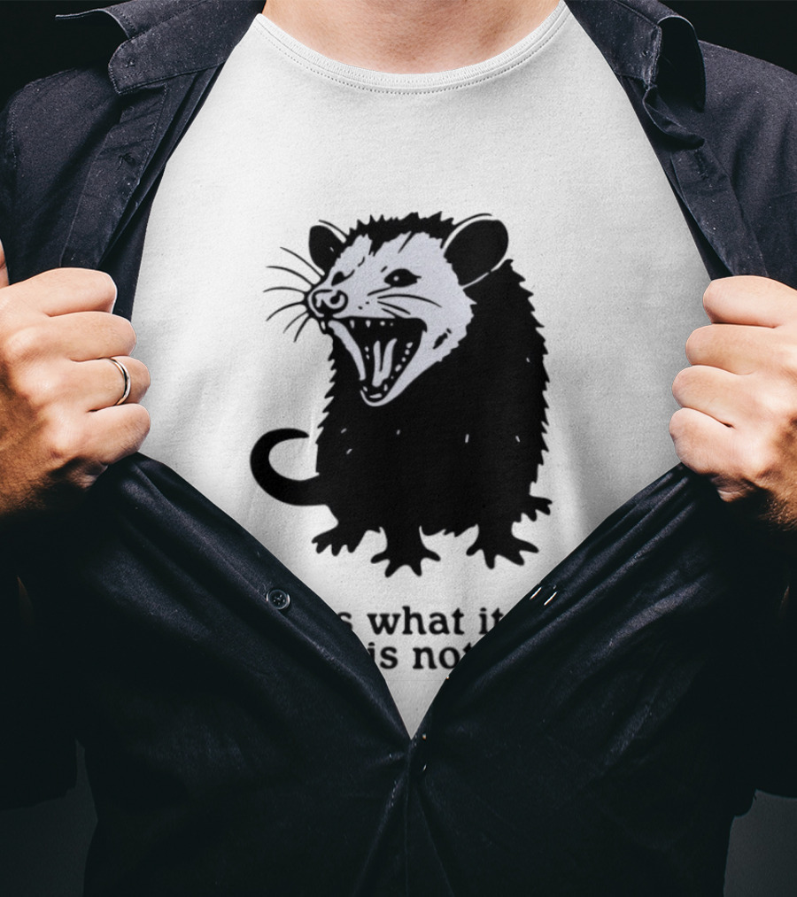 It Is What It Is And It Is Not Great Opossum T-Shirt