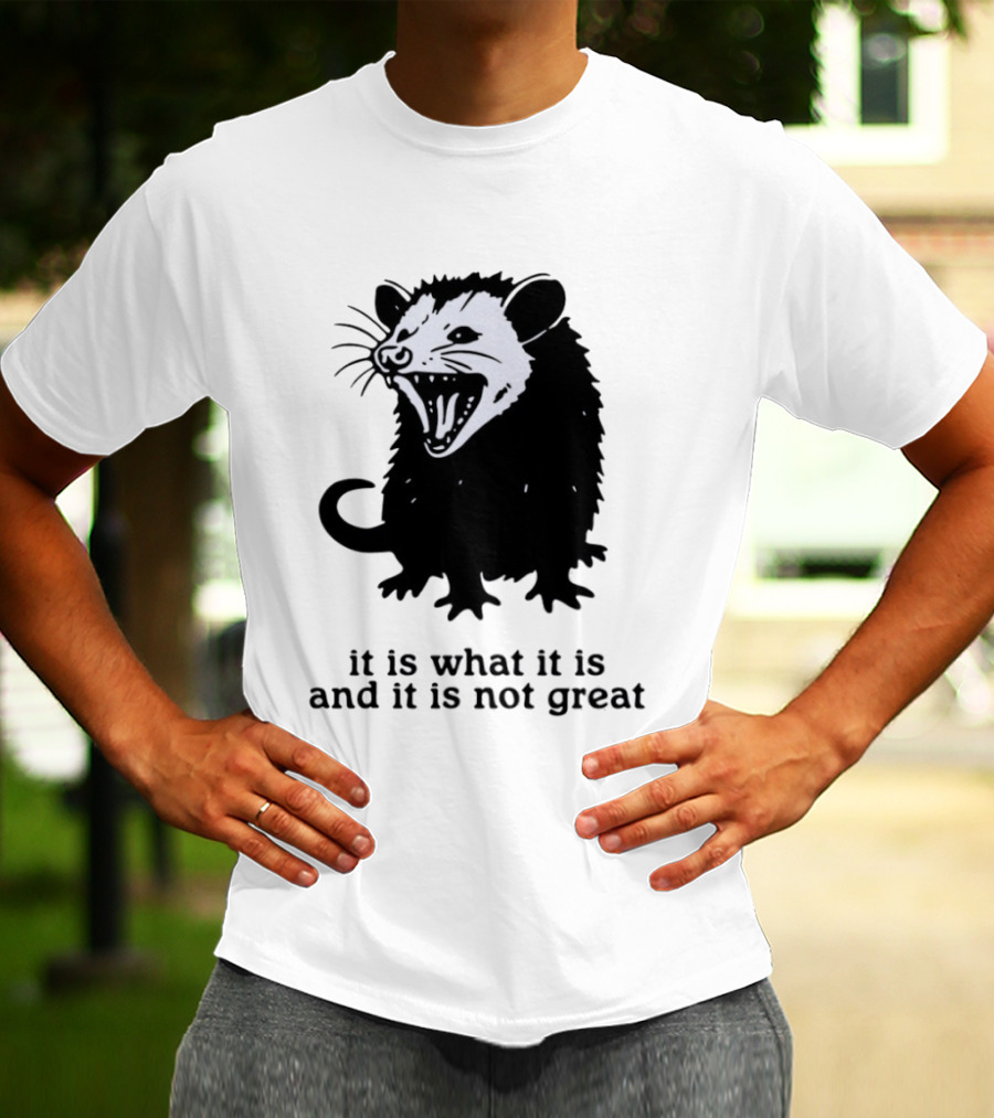 It Is What It Is And It Is Not Great Opossum T-Shirt