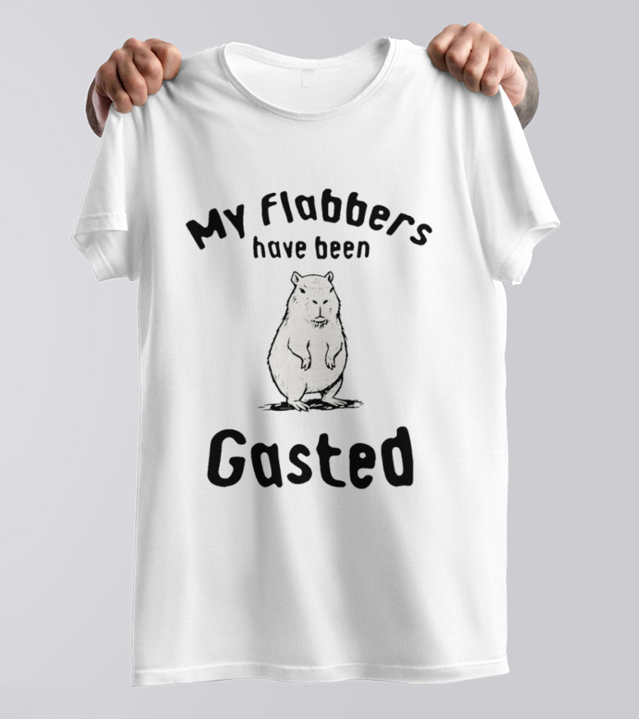 My Flabbers Have Been Gasted Capybara Meme T-Shirt