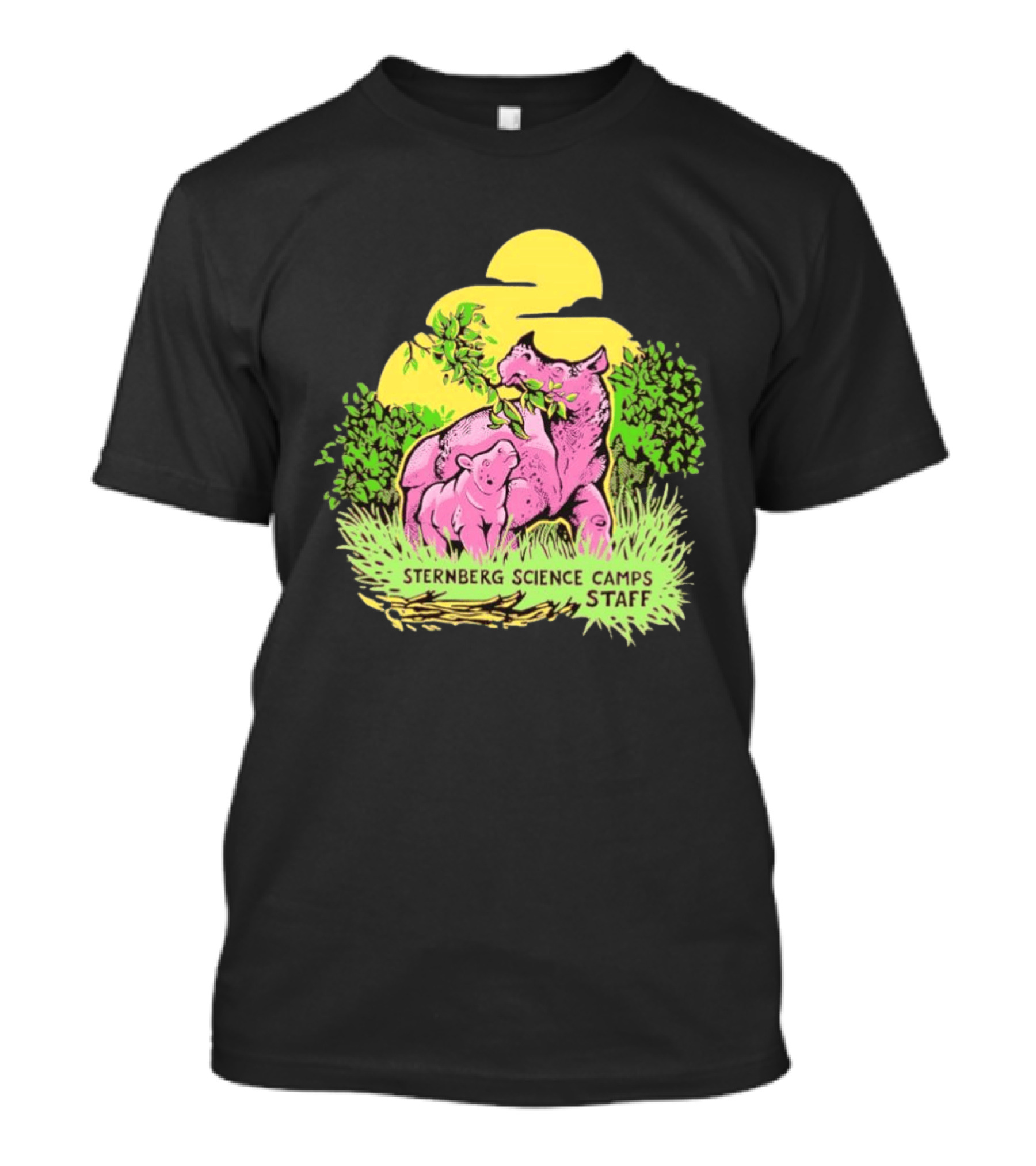 Sternberg Science Camps Staff Pink Dinosaurs Under Yellow Sun T-Shirt