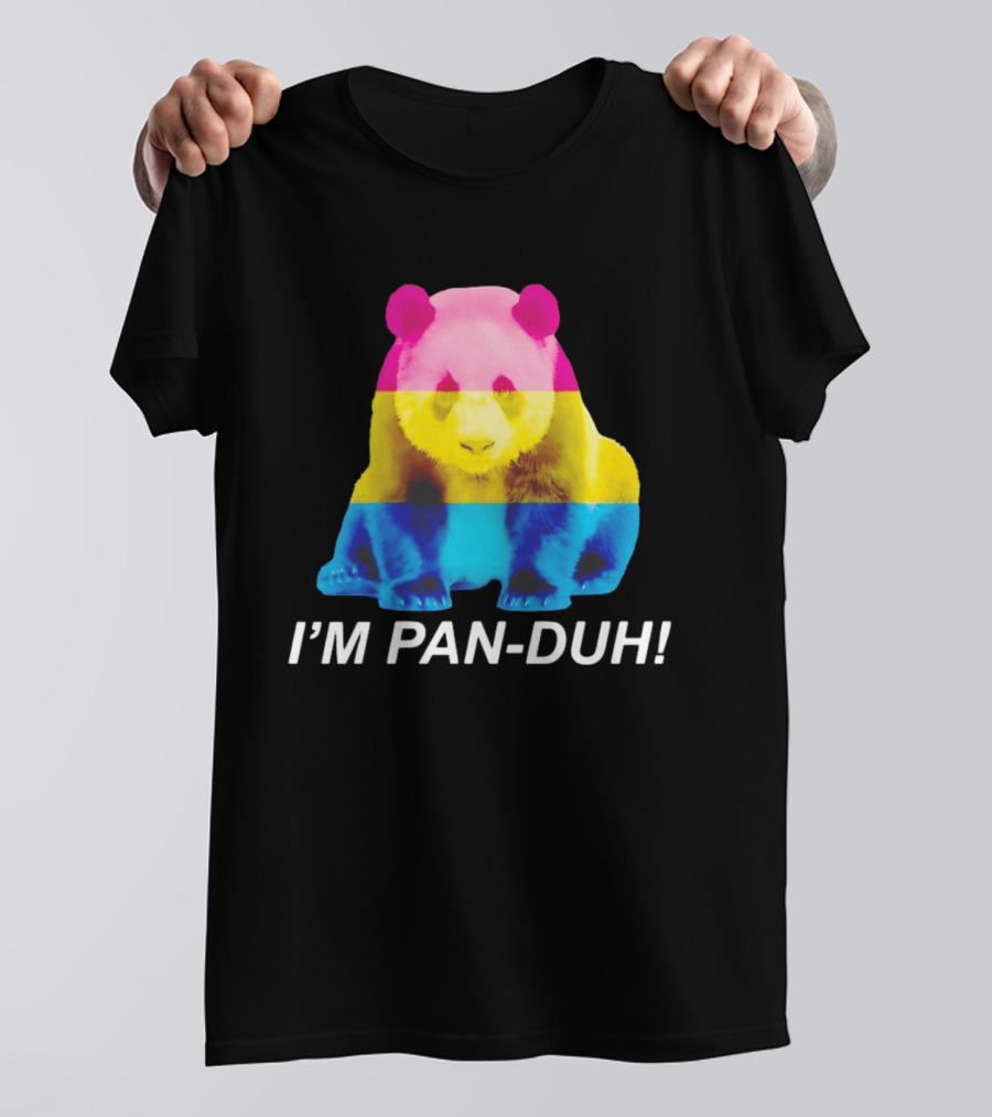 Panda I'm Pan Duh With Pan Flag Colors Panda T-Shirt